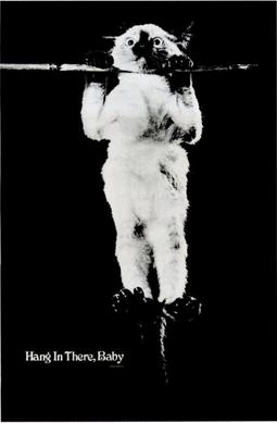 Hang in there poster by Victor Baldwin